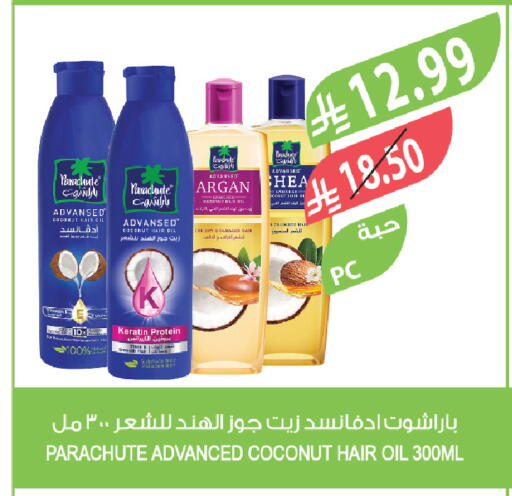 Coconut available at Farm  in KSA, Saudi Arabia, Saudi - Najran