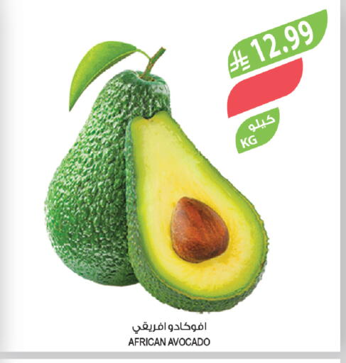 Avocado available at المزرعة in مملكة العربية السعودية, السعودية, سعودية - تبوك