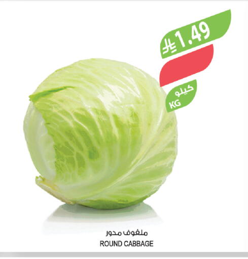 Cabbage available at المزرعة in مملكة العربية السعودية, السعودية, سعودية - ينبع