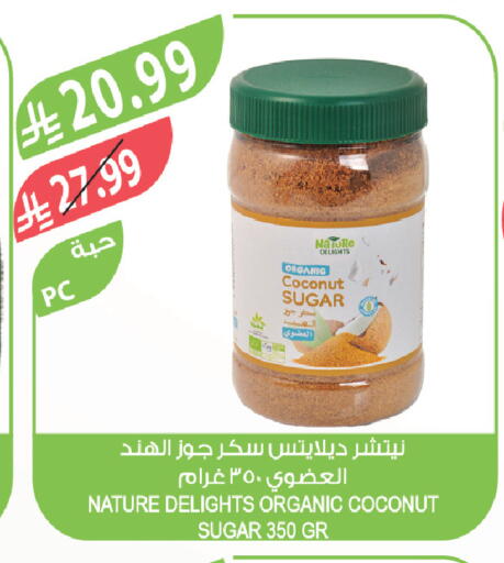 Coconut available at Farm  in KSA, Saudi Arabia, Saudi - Tabuk