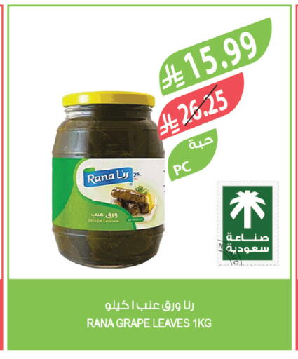 available at المزرعة in مملكة العربية السعودية, السعودية, سعودية - ينبع
