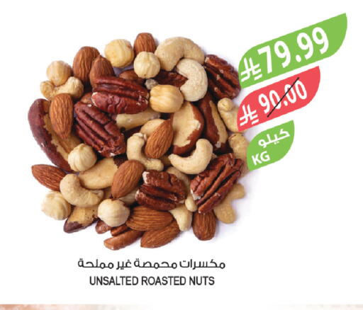 available at المزرعة in مملكة العربية السعودية, السعودية, سعودية - تبوك