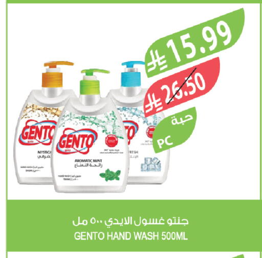 Mint available at المزرعة in مملكة العربية السعودية, السعودية, سعودية - تبوك