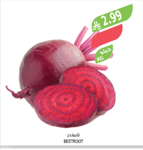 Beetroot available at المزرعة in مملكة العربية السعودية, السعودية, سعودية - ينبع