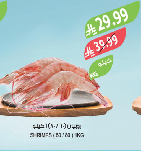 available at المزرعة in مملكة العربية السعودية, السعودية, سعودية - نجران
