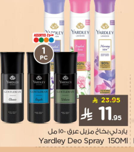 available at Nesto in KSA, Saudi Arabia, Saudi - Jubail