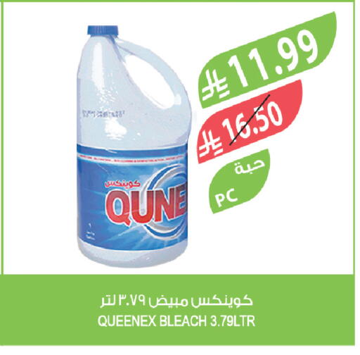 available at المزرعة in مملكة العربية السعودية, السعودية, سعودية - تبوك