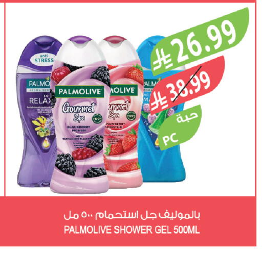 Blackberry available at المزرعة in مملكة العربية السعودية, السعودية, سعودية - تبوك