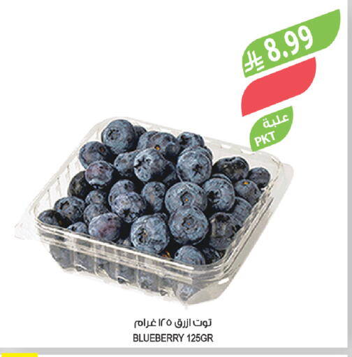 Blueberry BlueBerry available at المزرعة in مملكة العربية السعودية, السعودية, سعودية - تبوك