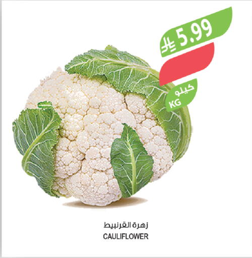 Cauliflower available at المزرعة in مملكة العربية السعودية, السعودية, سعودية - ينبع