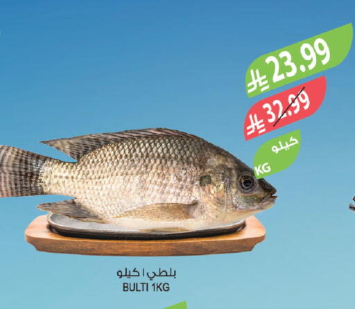 available at المزرعة in مملكة العربية السعودية, السعودية, سعودية - نجران