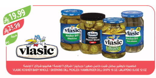 Dill Pepper available at Farm  in KSA, Saudi Arabia, Saudi - Tabuk