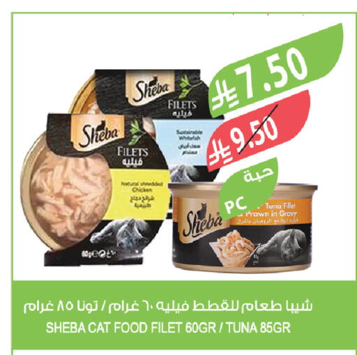 available at Farm  in KSA, Saudi Arabia, Saudi - Tabuk