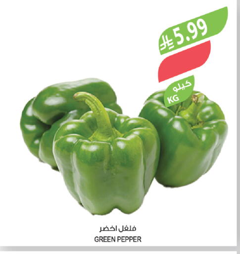 Pepper available at المزرعة in مملكة العربية السعودية, السعودية, سعودية - ينبع