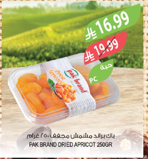 Apricot available at المزرعة in مملكة العربية السعودية, السعودية, سعودية - تبوك