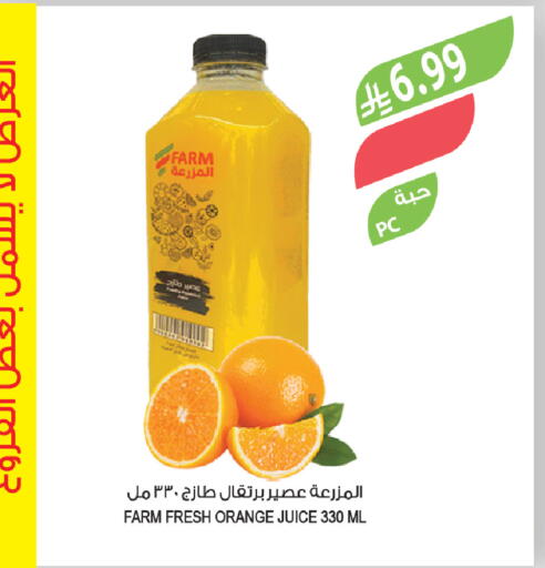 Orange available at Farm  in KSA, Saudi Arabia, Saudi - Tabuk