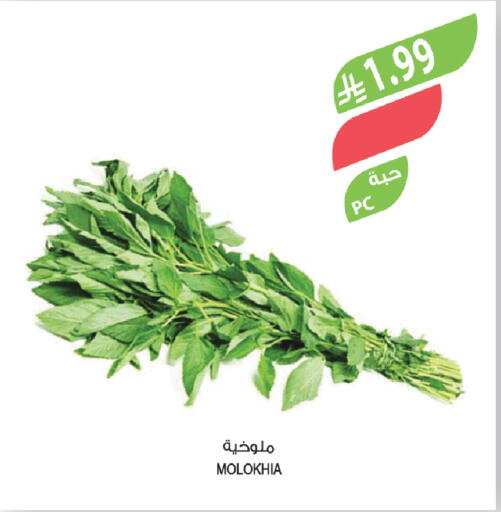 available at Farm  in KSA, Saudi Arabia, Saudi - Tabuk