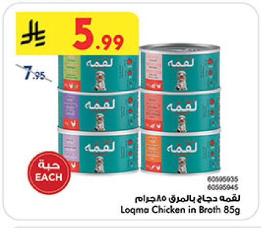 available at بن داود in مملكة العربية السعودية, السعودية, سعودية - المدينة المنورة