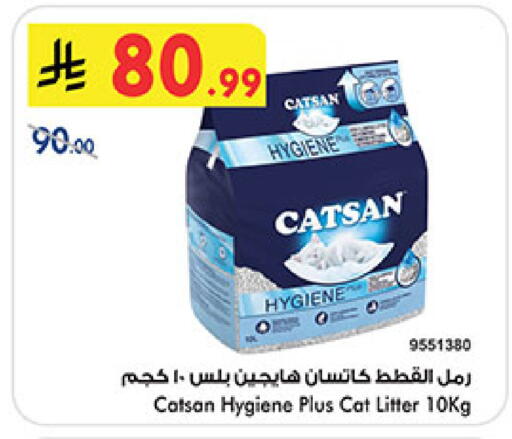 available at بن داود in مملكة العربية السعودية, السعودية, سعودية - المدينة المنورة