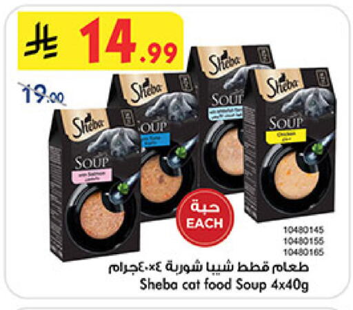 available at بن داود in مملكة العربية السعودية, السعودية, سعودية - المدينة المنورة