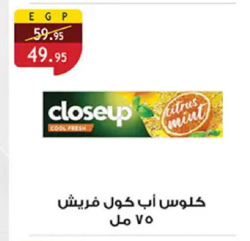Mint available at Al Rayah Market   in Egypt - Cairo