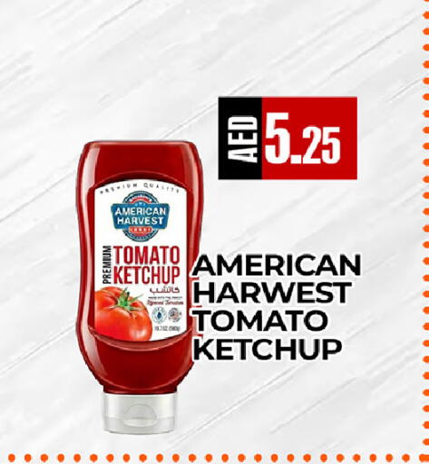 Tomato available at  RIVIERA SUPERMARKET L.L.C in UAE - Abu Dhabi