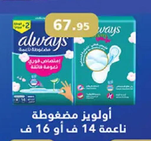 available at Al Rayah Market   in Egypt - Cairo