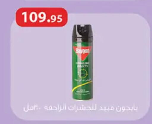 available at Al Rayah Market   in Egypt - Cairo