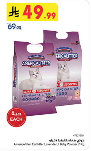 available at بن داود in مملكة العربية السعودية, السعودية, سعودية - المدينة المنورة