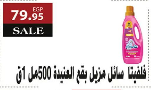 available at Al Rayah Market   in Egypt - Cairo