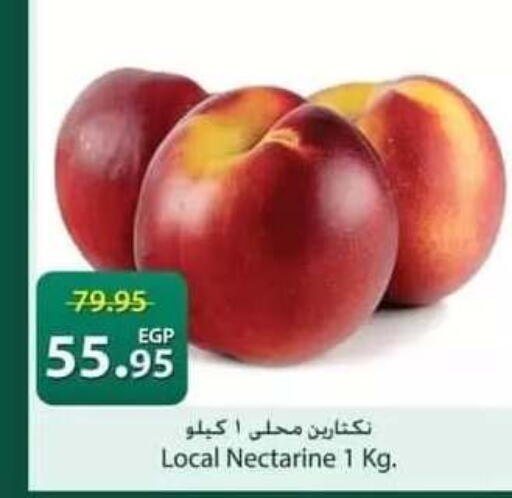 Nectarine available at سبينس in Egypt - القاهرة