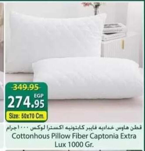 available at سبينس in Egypt - القاهرة