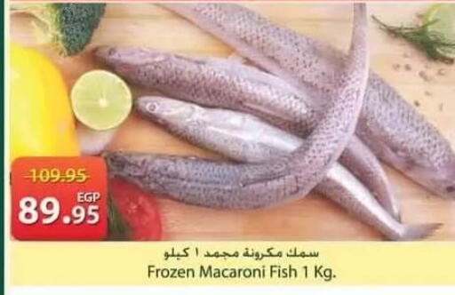 available at سبينس in Egypt - القاهرة