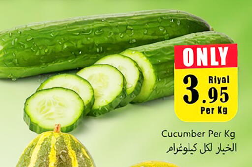 Cucumber available at دي مارت هايبر in مملكة العربية السعودية, السعودية, سعودية - المنطقة الشرقية