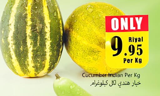 Cucumber from India available at دي مارت هايبر in مملكة العربية السعودية, السعودية, سعودية - المنطقة الشرقية