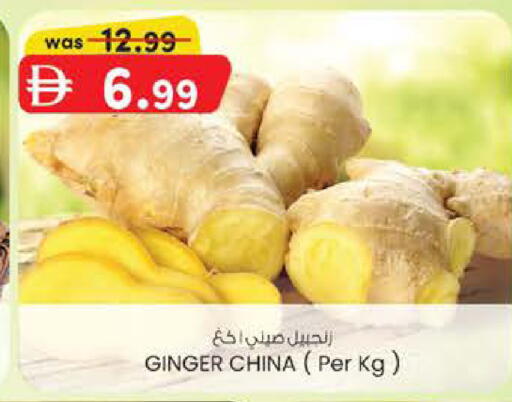 available at ك. إم. هايبرماركت in الإمارات العربية المتحدة , الامارات - ٱلْعَيْن‎