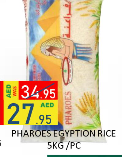 available at رويال جلف هايبرماركت in الإمارات العربية المتحدة , الامارات - أبو ظبي