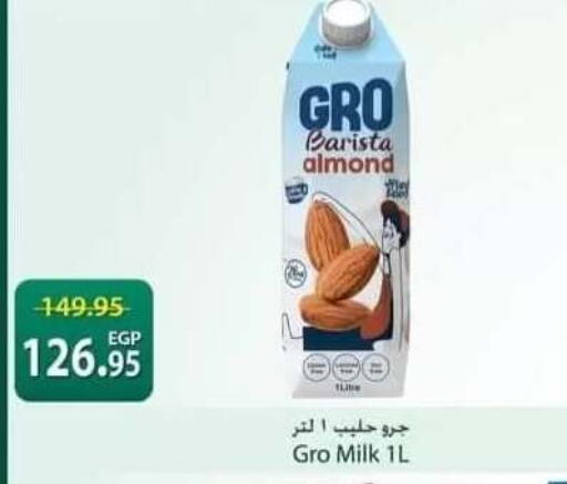 available at سبينس in Egypt - القاهرة