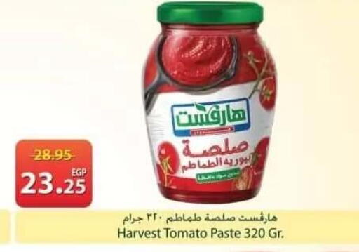 Tomato available at سبينس in Egypt - القاهرة