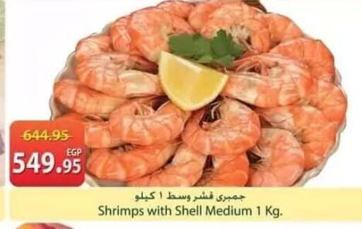 available at سبينس in Egypt - القاهرة