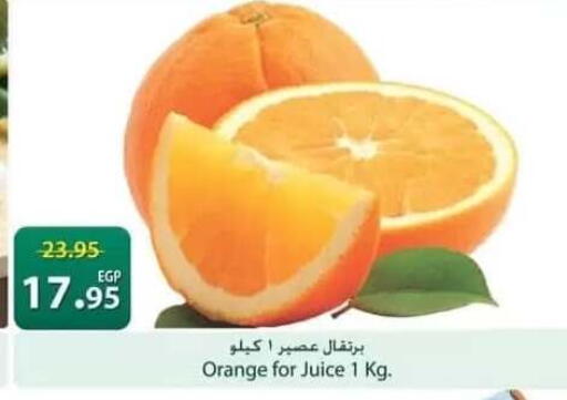 Orange available at سبينس in Egypt - القاهرة