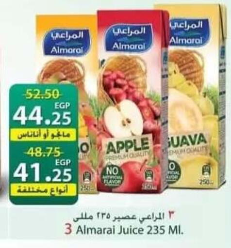 Apple Guava available at سبينس in Egypt - القاهرة