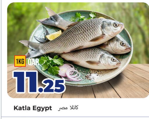 available at روابي هايبرماركت in قطر - أم صلال