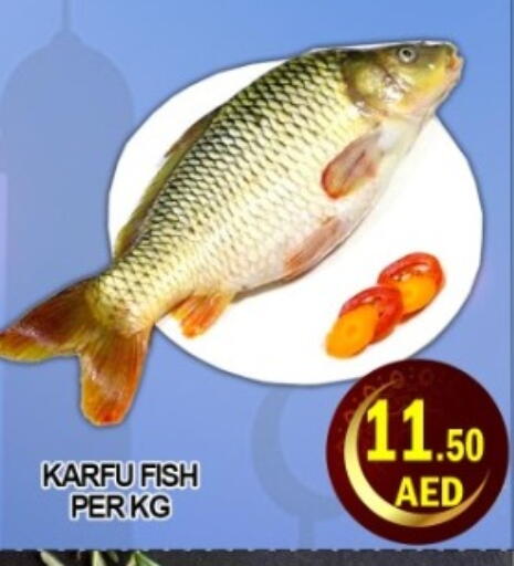 available at جرين جيفت متجر أقسام in الإمارات العربية المتحدة , الامارات - دبي