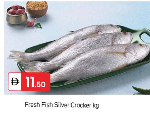 available at سوق طلال in الإمارات العربية المتحدة , الامارات - دبي