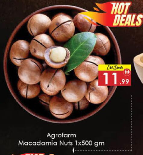 available at ايكو مول & ايكو هايبرماركت in الإمارات العربية المتحدة , الامارات - ٱلْعَيْن‎