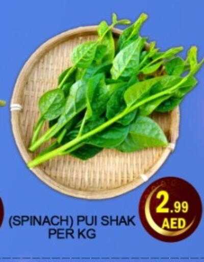 available at Green Gift Department Store in UAE - Dubai