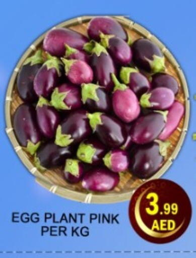 available at Green Gift Department Store in UAE - Dubai
