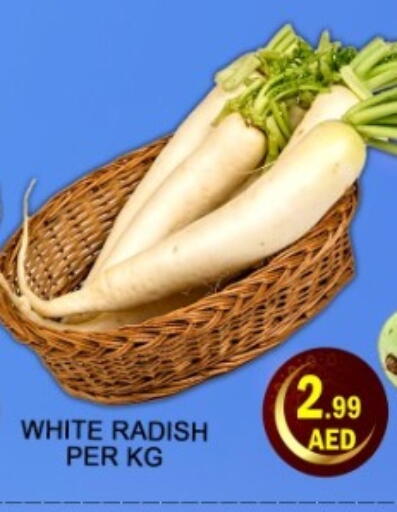 available at Green Gift Department Store in UAE - Dubai