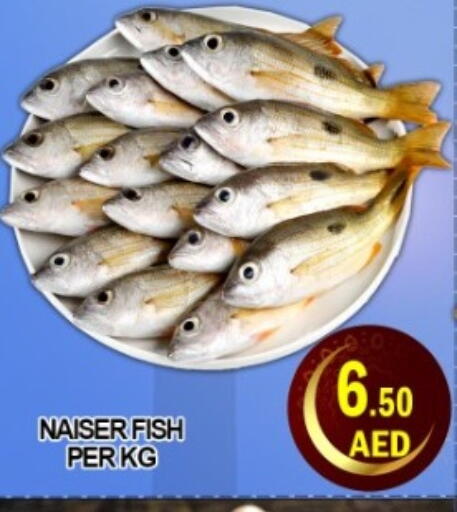 available at جرين جيفت متجر أقسام in الإمارات العربية المتحدة , الامارات - دبي